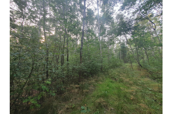 otwocki, Wiązowna, Duchnów, Blisko ul. Kąckiej, z prywatnym lasem.
